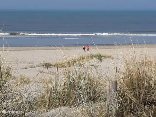Location de Vacances Pays-Bas, Hollande du Nord, Schoorldam, bungalow - Rekere 111 à Schoorldam Plage