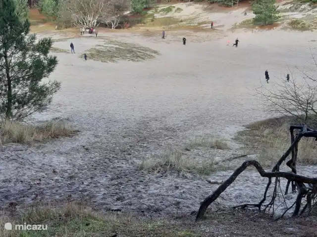 Location de Vacances Pays-Bas, Hollande du Nord, Schoorldam, bungalow - Rekere 111 à Schoorldam Les dunes de Schoorl