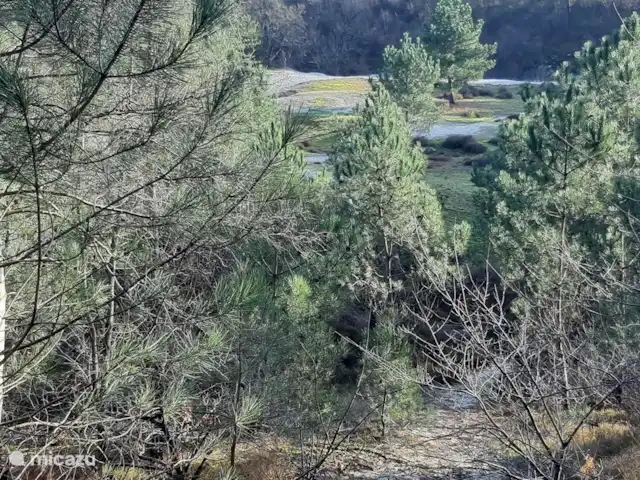 Location de Vacances Pays-Bas, Hollande du Nord, Schoorldam, bungalow - Rekere 111 à Schoorldam Les dunes de Schoorl