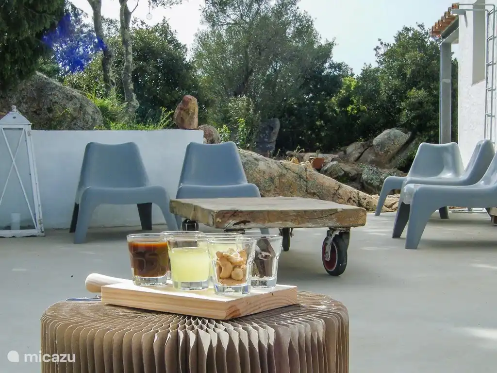 Borrelhoek auf der geschützten hinteren Terrasse