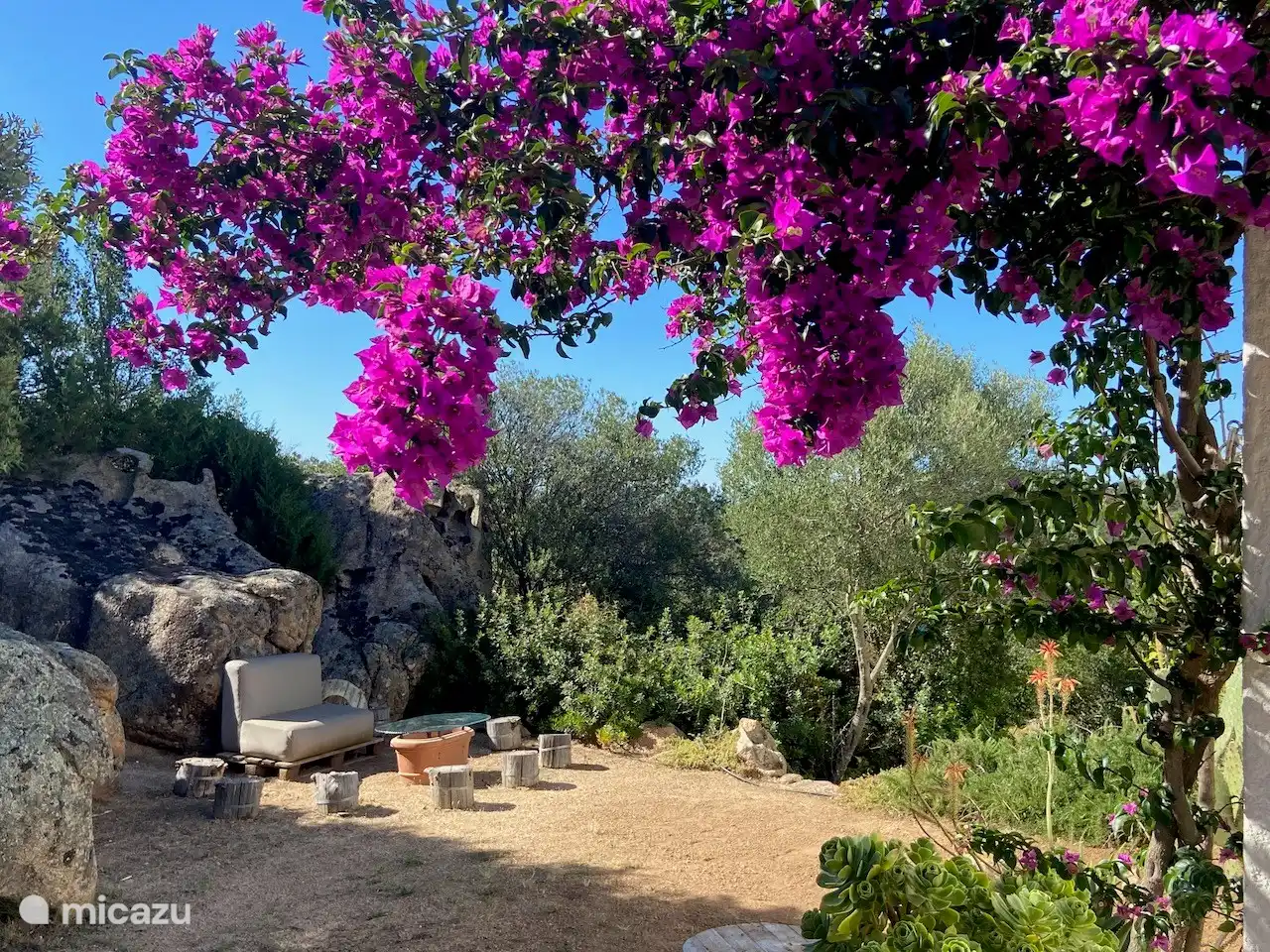 Blick unter der Bougainvillea auf die felsgeschützte Sitzgelegenheit
