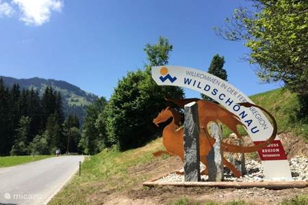 Wildschönau / Tirol