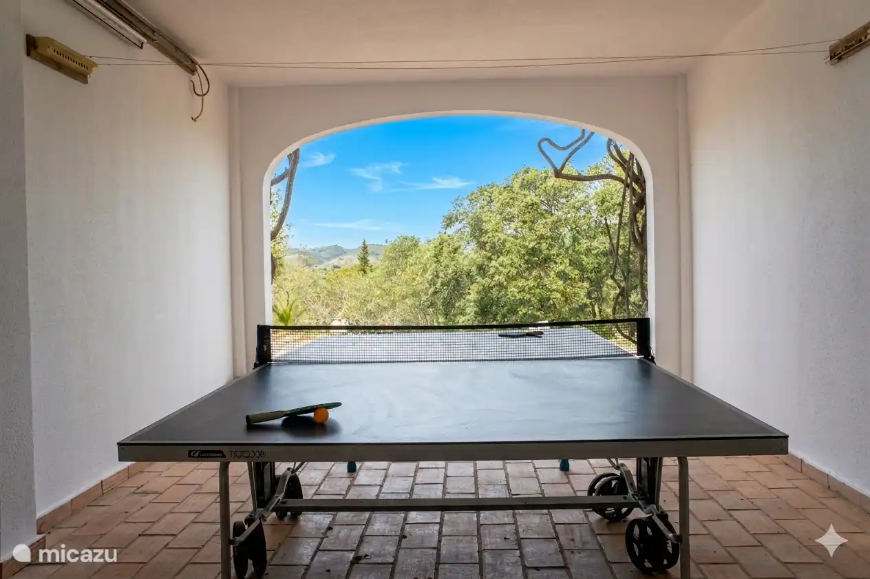 Der Tischtennistisch