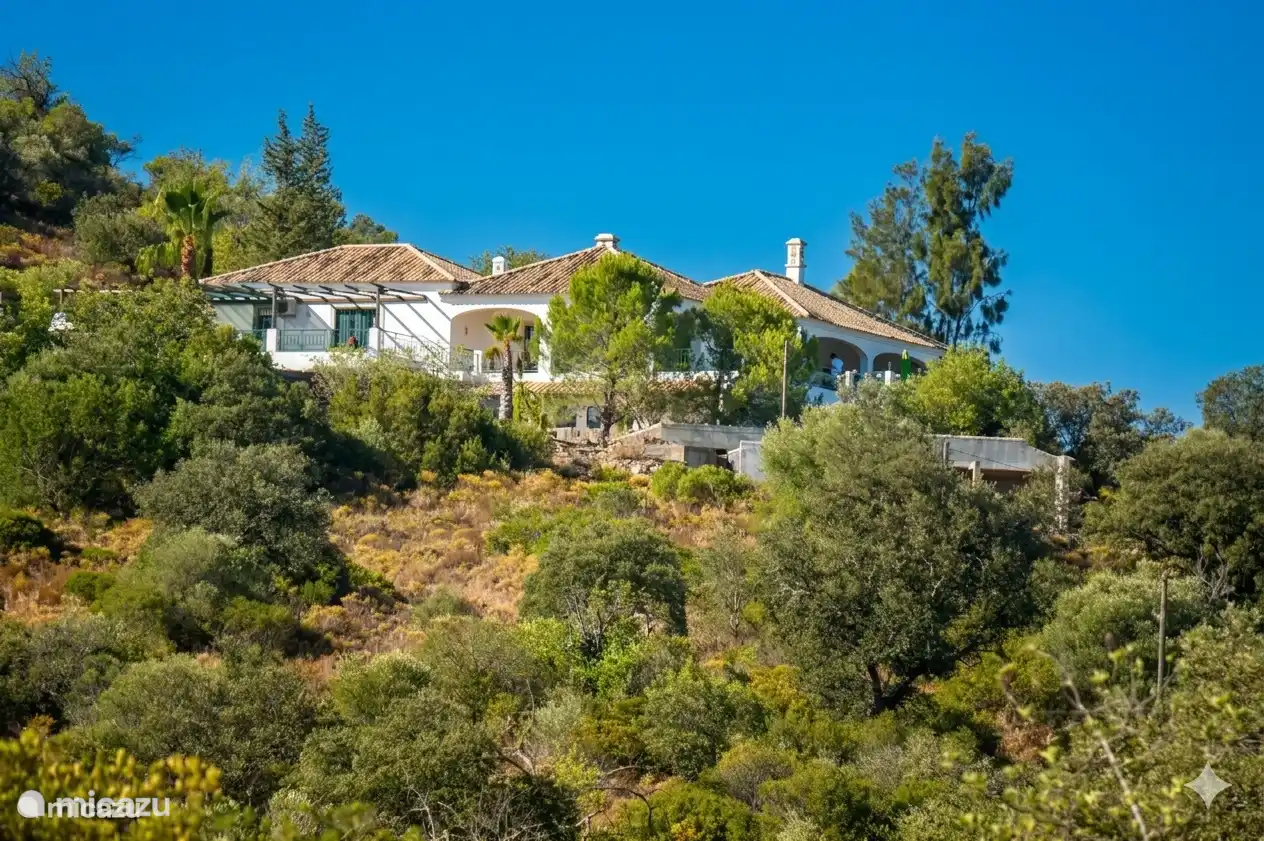 Blick von der Straße