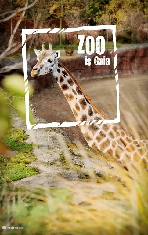 Le zoo a été choisi en 2018 comme la meilleure sortie aux Pays-Bas
