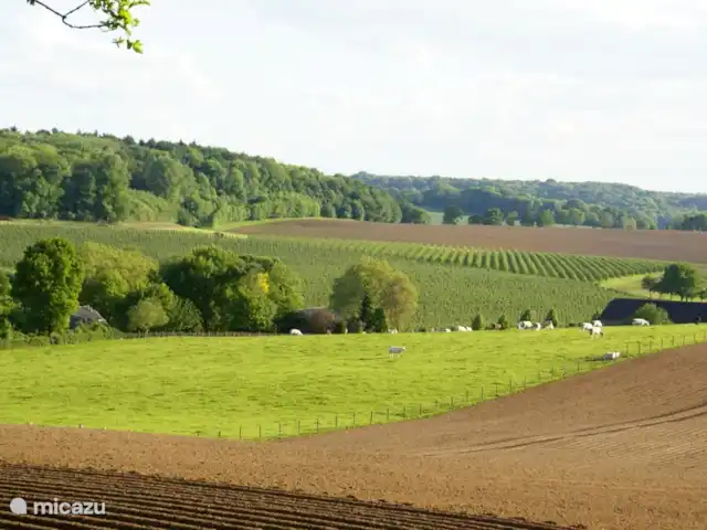 Domaine Hellebeuk, Maison avec vue ! | Pays-Bas, Limbourg, Valkenburg - maison de vacances Vue Hellebeukerweg