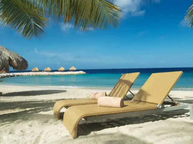 Casa Marbella huren in Curaçao, Curacao-Midden, Blue Bay - appartement Blue Bay Beach