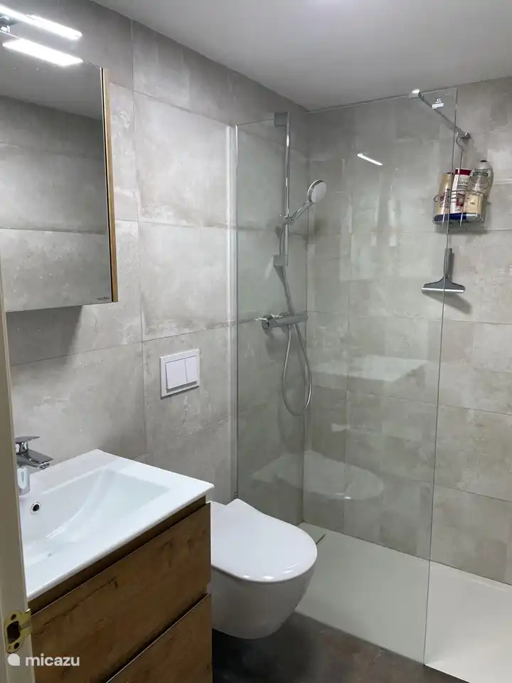 Komplett renoviertes Badezimmer mit ebenerdiger Dusche