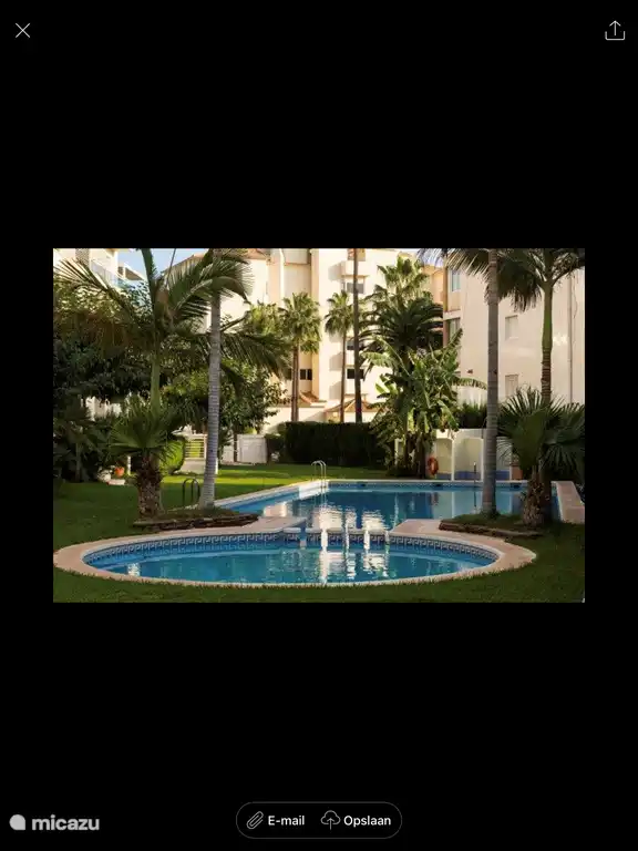 Gemeinsamer Garten mit Pool