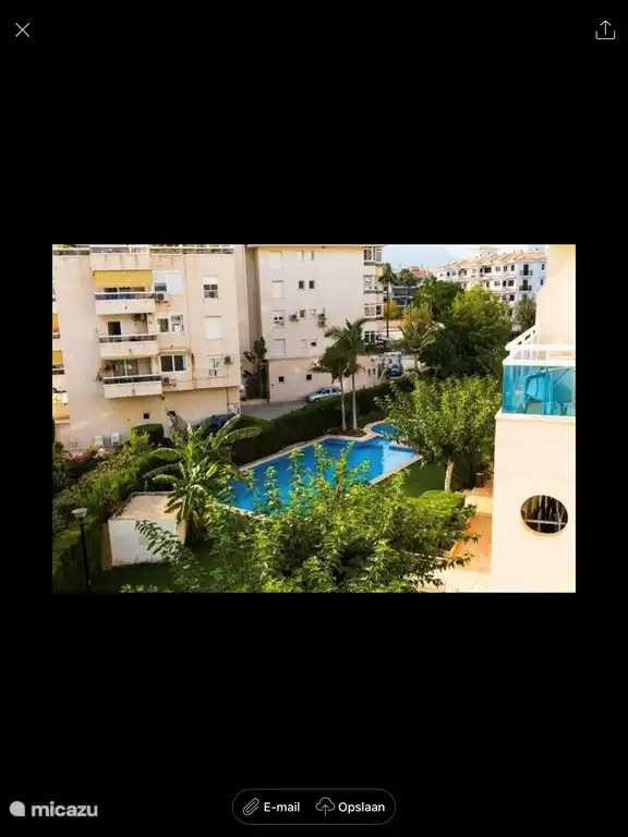 Gemeinsamer Garten mit Pool