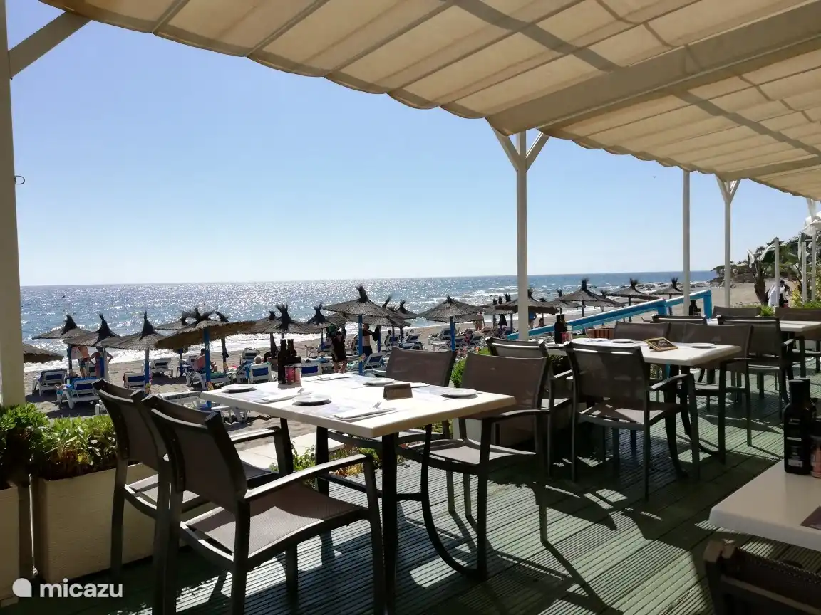 Strandbar auf 250 m²