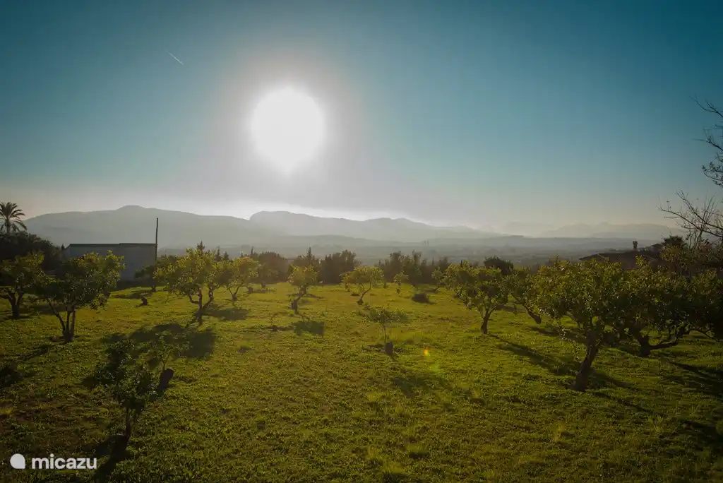Large vue depuis la grande cour arrière