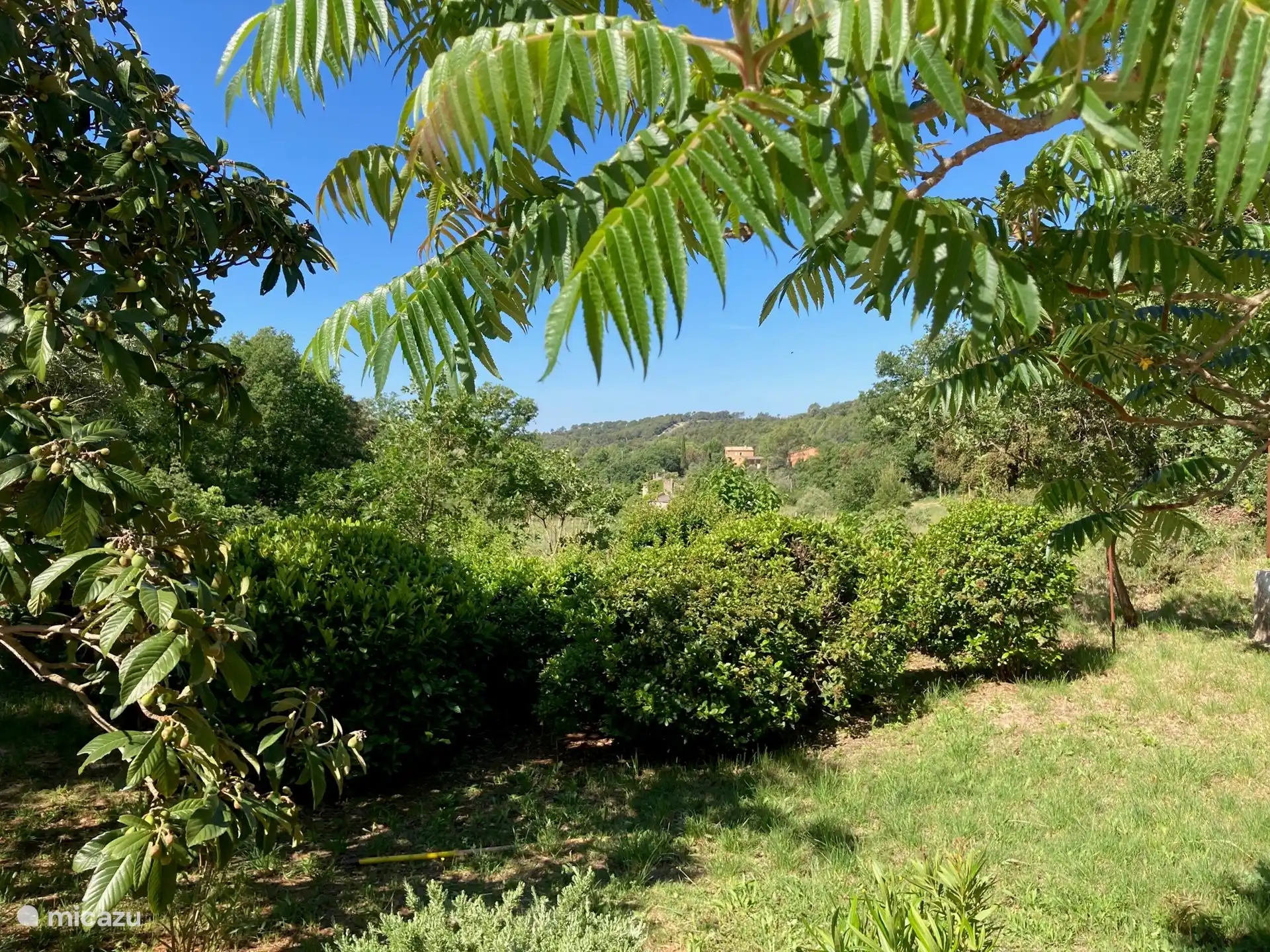 belle vue dégagée et lointaine