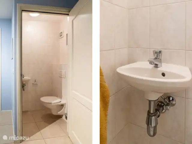 Location de Vacances Pays-Bas, Gueldre, Garderen, villa - Villa Jardinier Toilettes en bas.