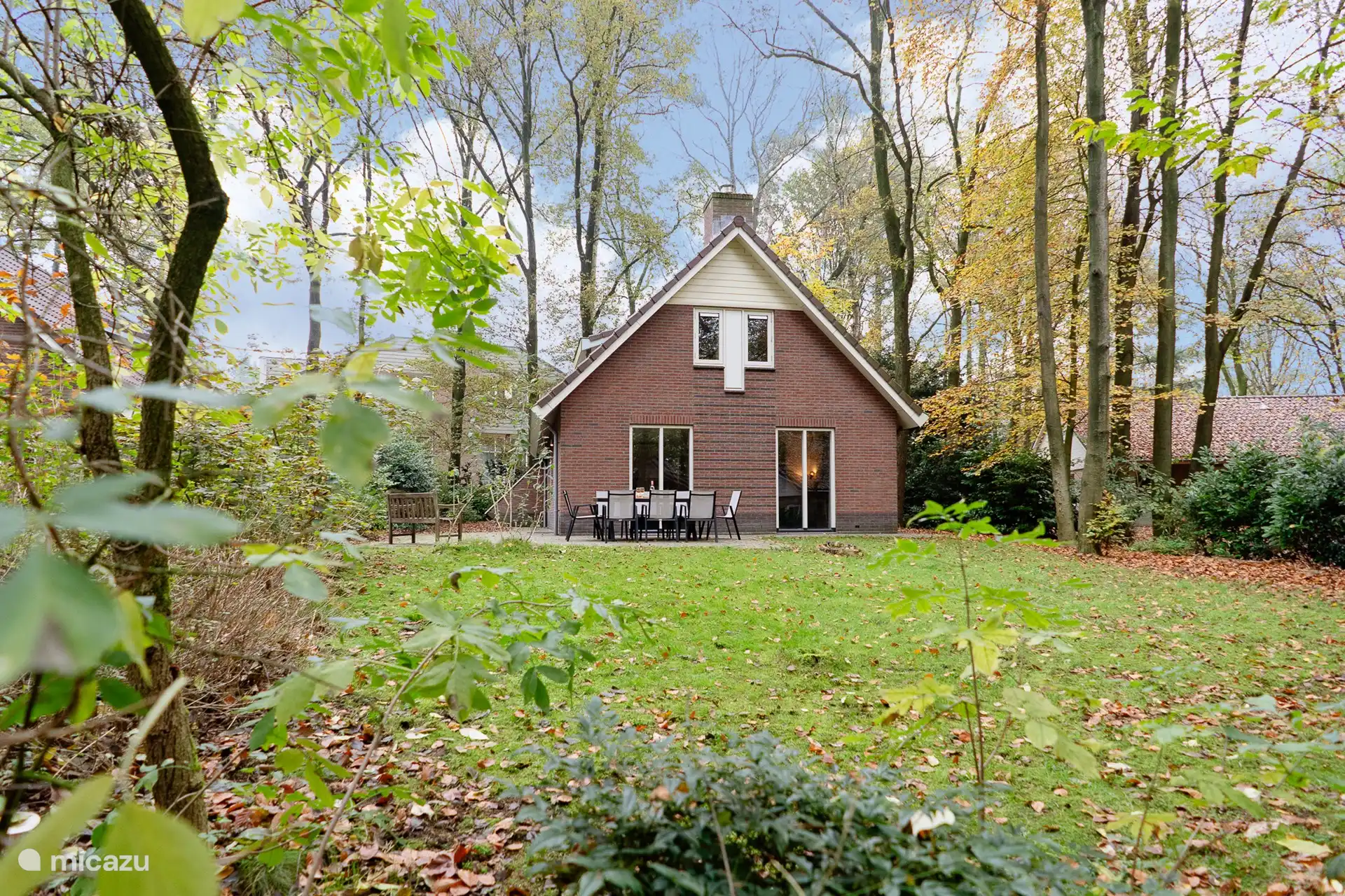 Grand jardin ensoleillé avec de l’herbe et des arbres.