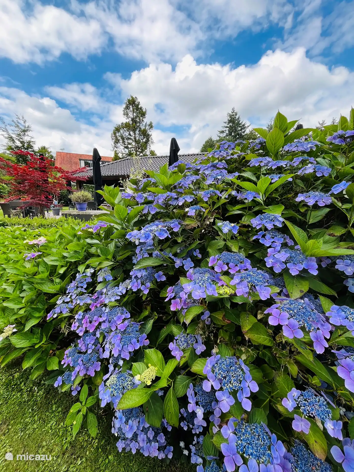 Restauration magnifiquement entretenue située à l’hôtel de Werelt. Les clients des bungalows sont également autorisés à l’utiliser.