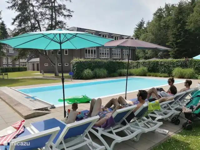 Location de Vacances Pays-Bas, Gueldre, Garderen, villa - Villa Jardinier Détendez-vous au bord de la piscine
