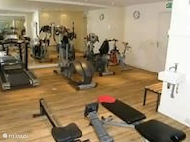 Location de Vacances Pays-Bas, Gueldre, Garderen, villa - Villa Jardinier Salle de sport de l’hôtel.