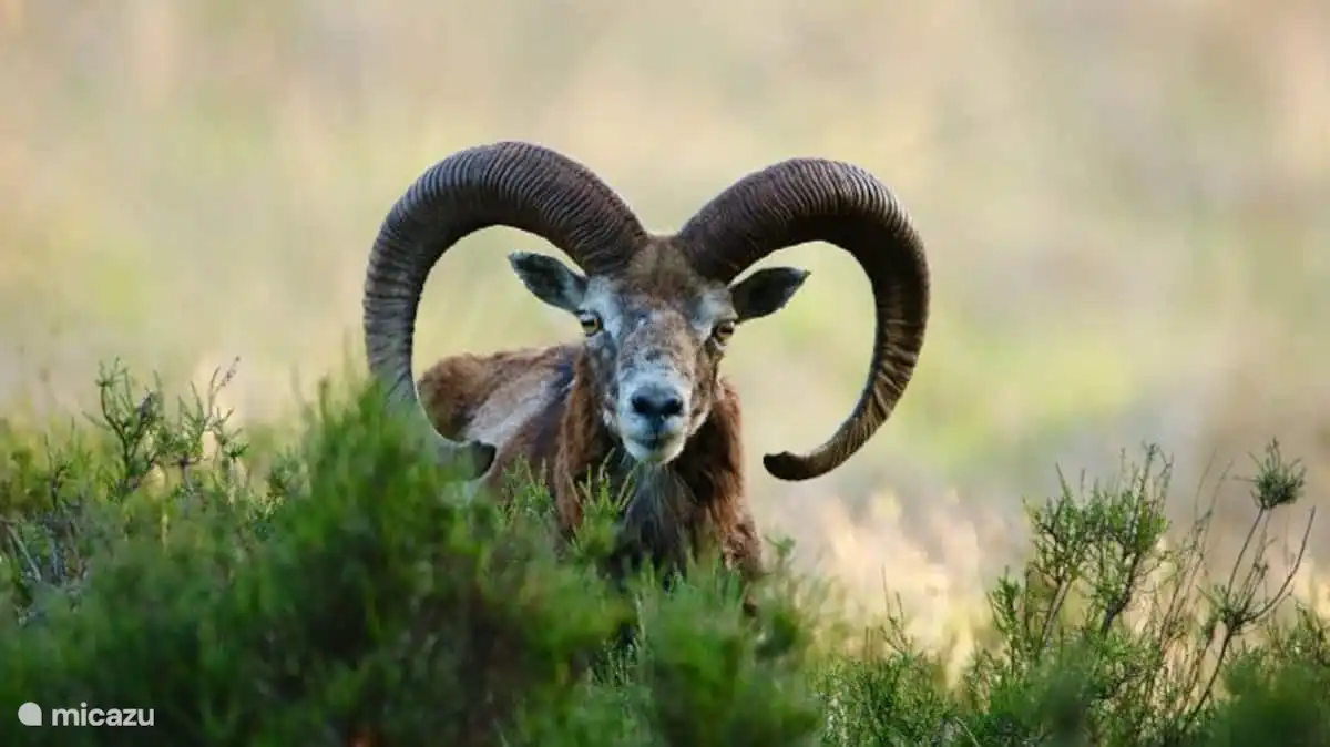 Il y a beaucoup à voir et à découvrir dans la nature.