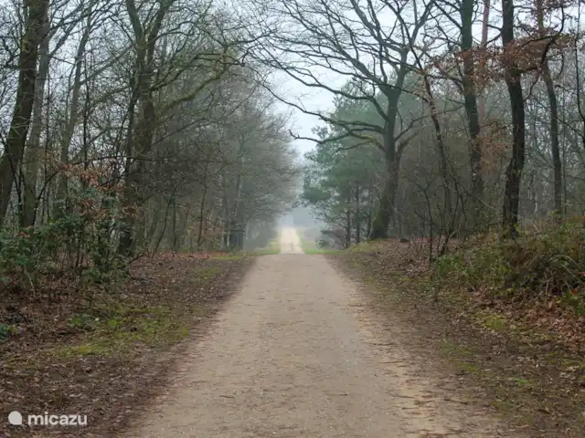 Location de Vacances Pays-Bas, Gueldre, Garderen, villa - Villa Jardinier Belles forêts du parc