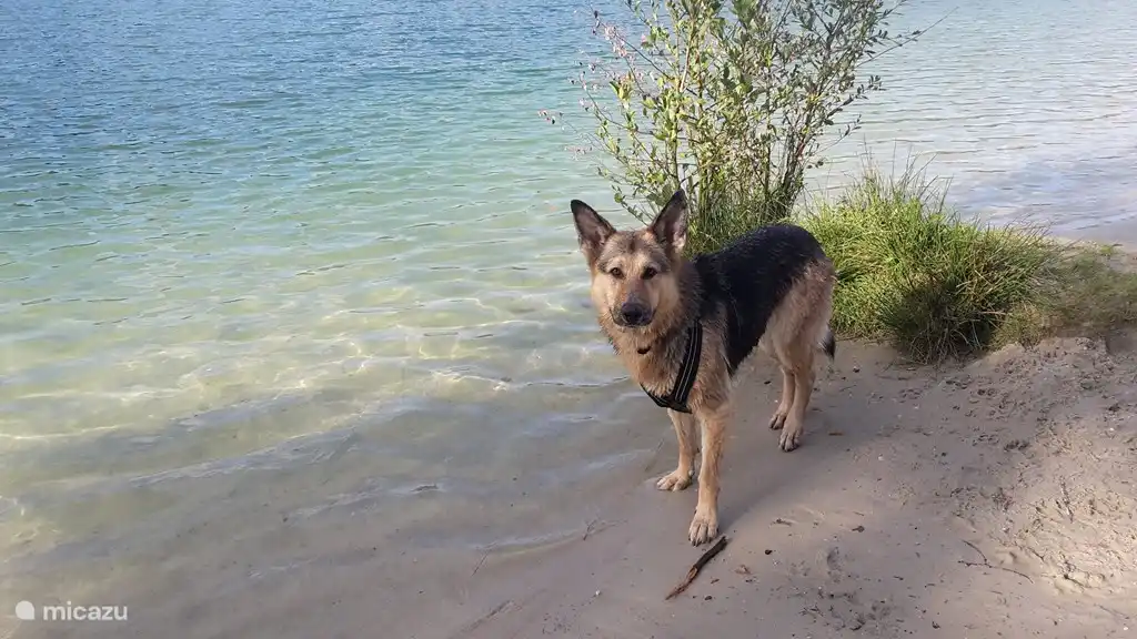 Idyllischer Ort (Ellertshaar)