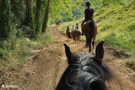 Escuela de equitación Rancho Bonanza Calella