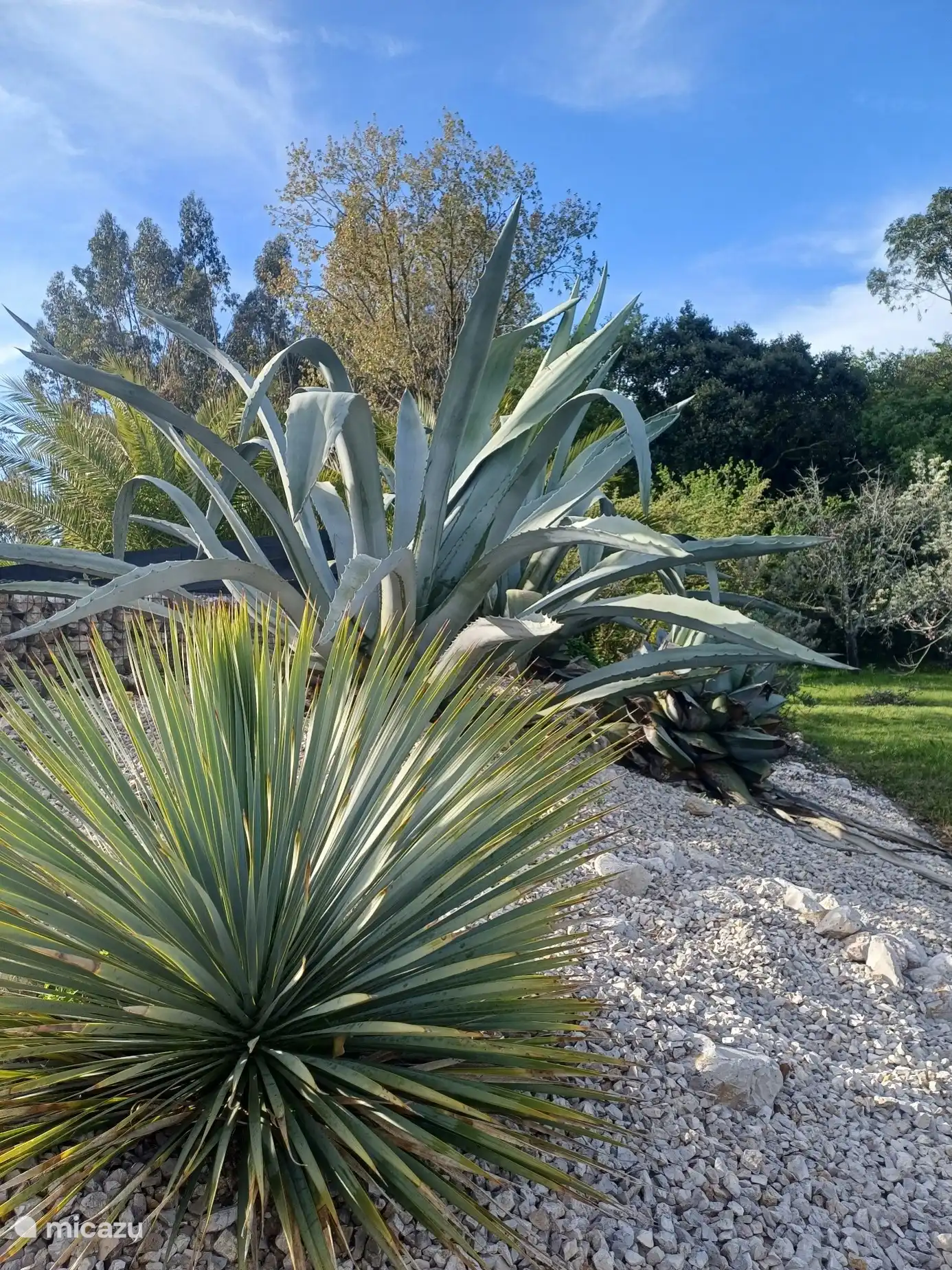 Photo dans le jardin de la villa