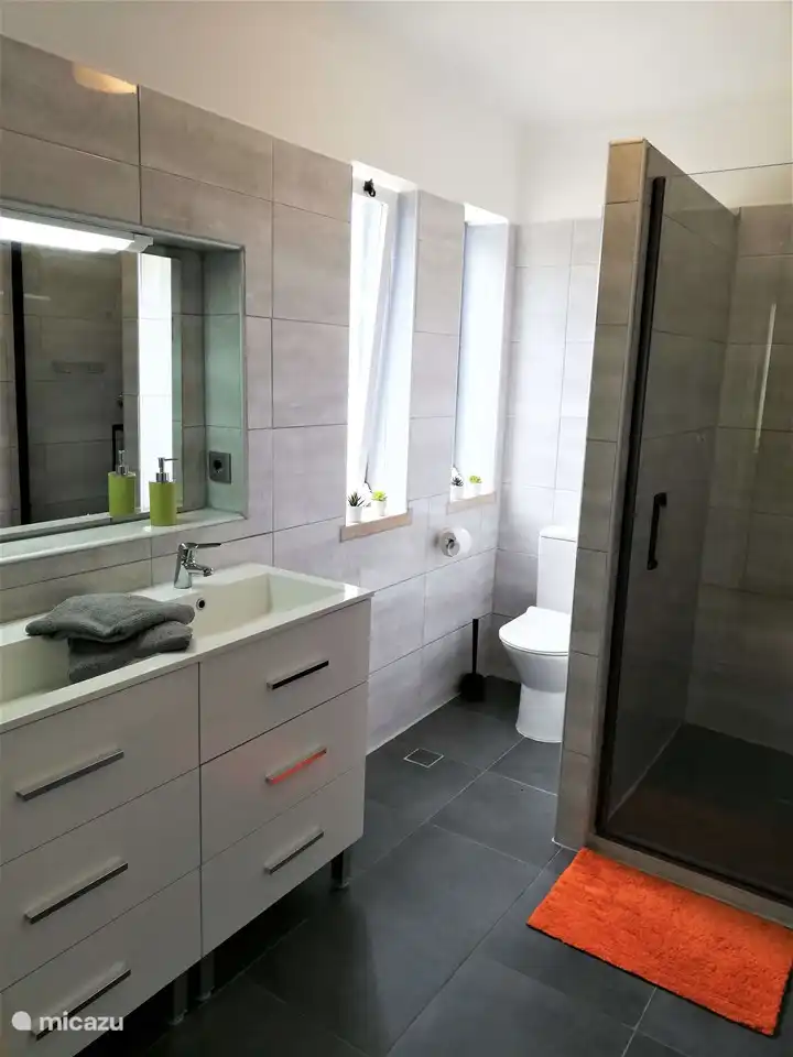 Bathroom with walk-in shower