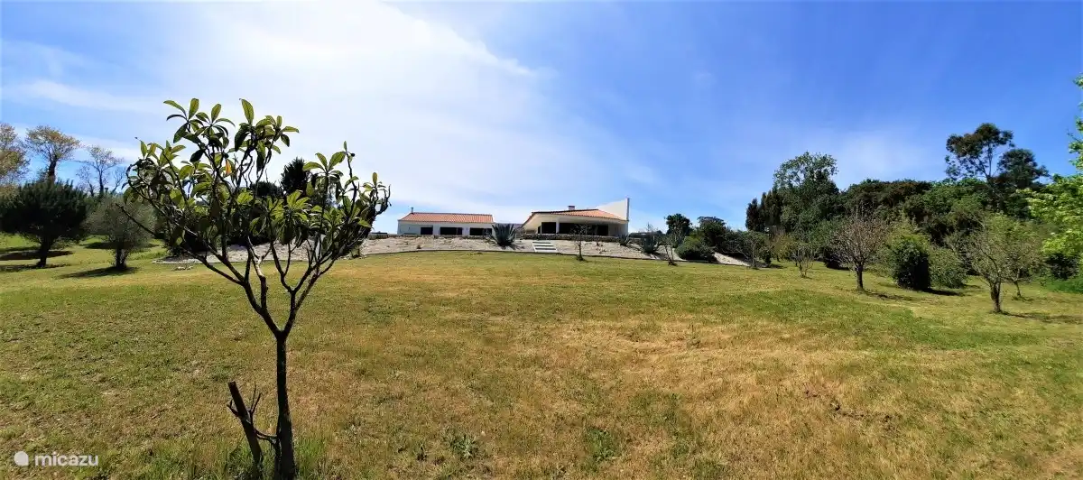 Photo from the garden