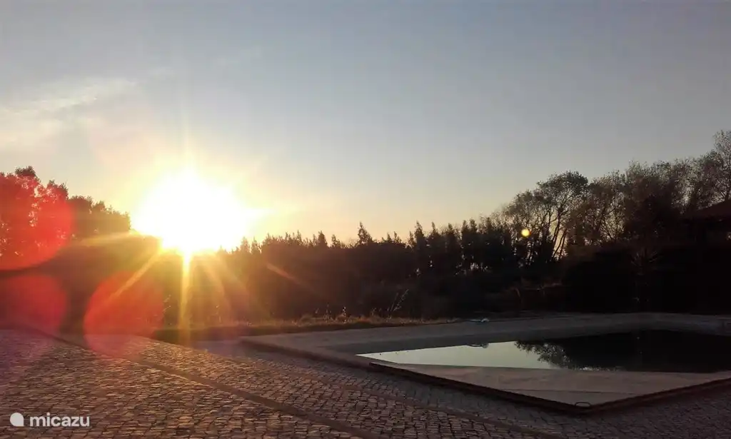 Sunset by the pool