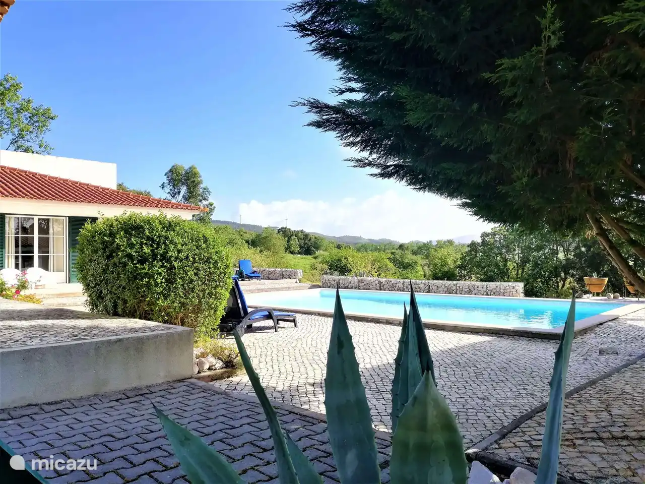 The swimming pool at the villa