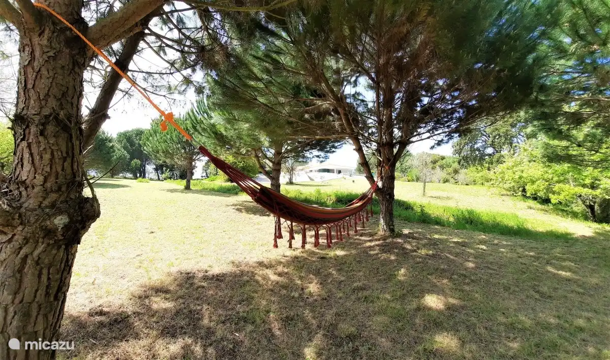 Photo in the fully enclosed garden