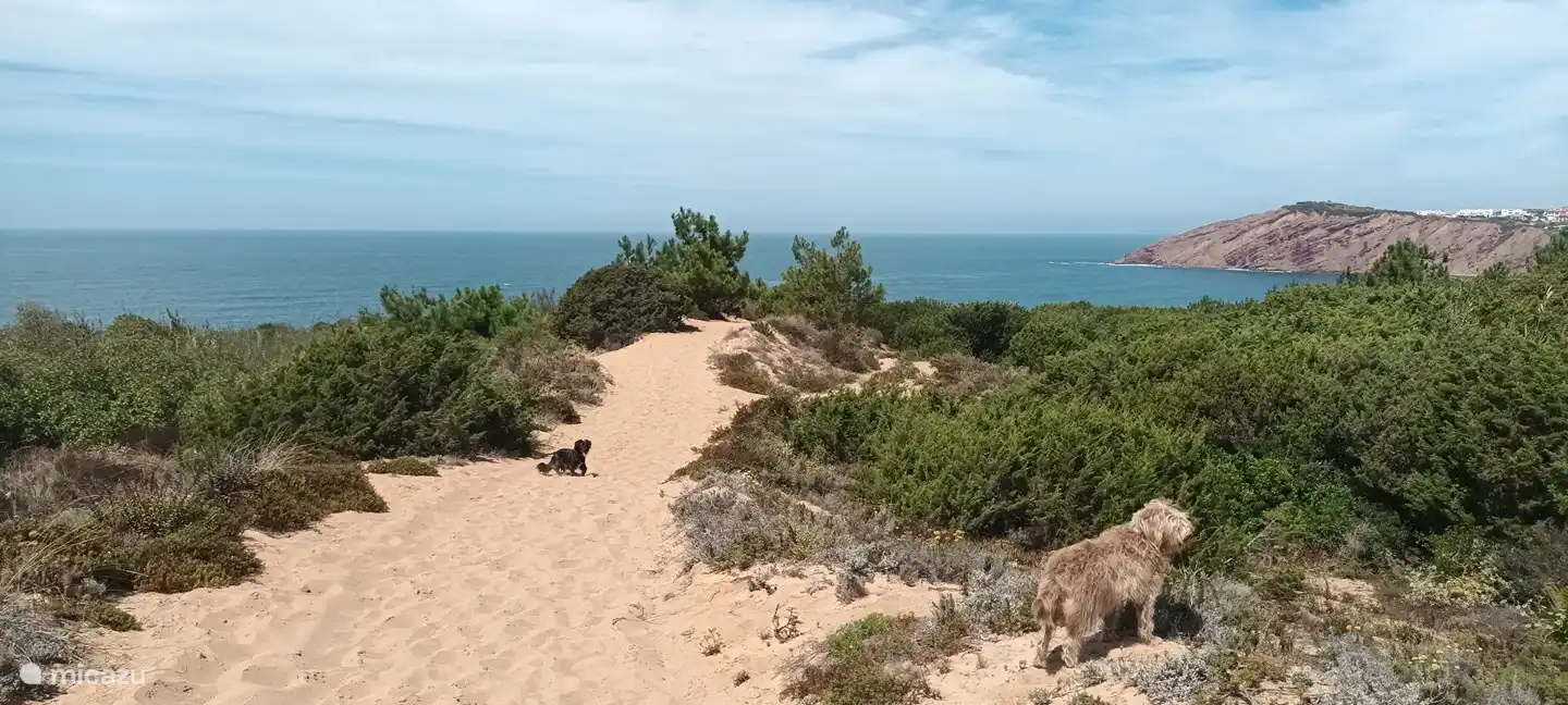 Walking through the dunes and cliffs