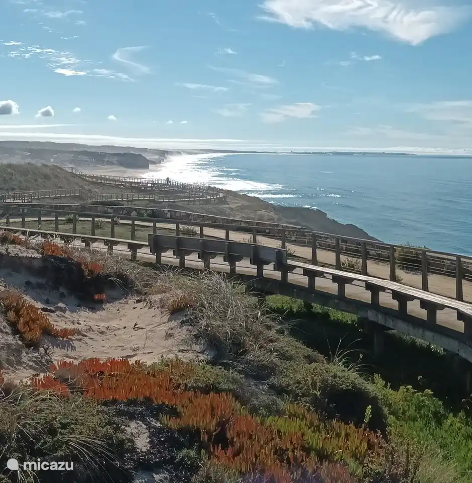 beautiful view of the ocean during a lovely walk