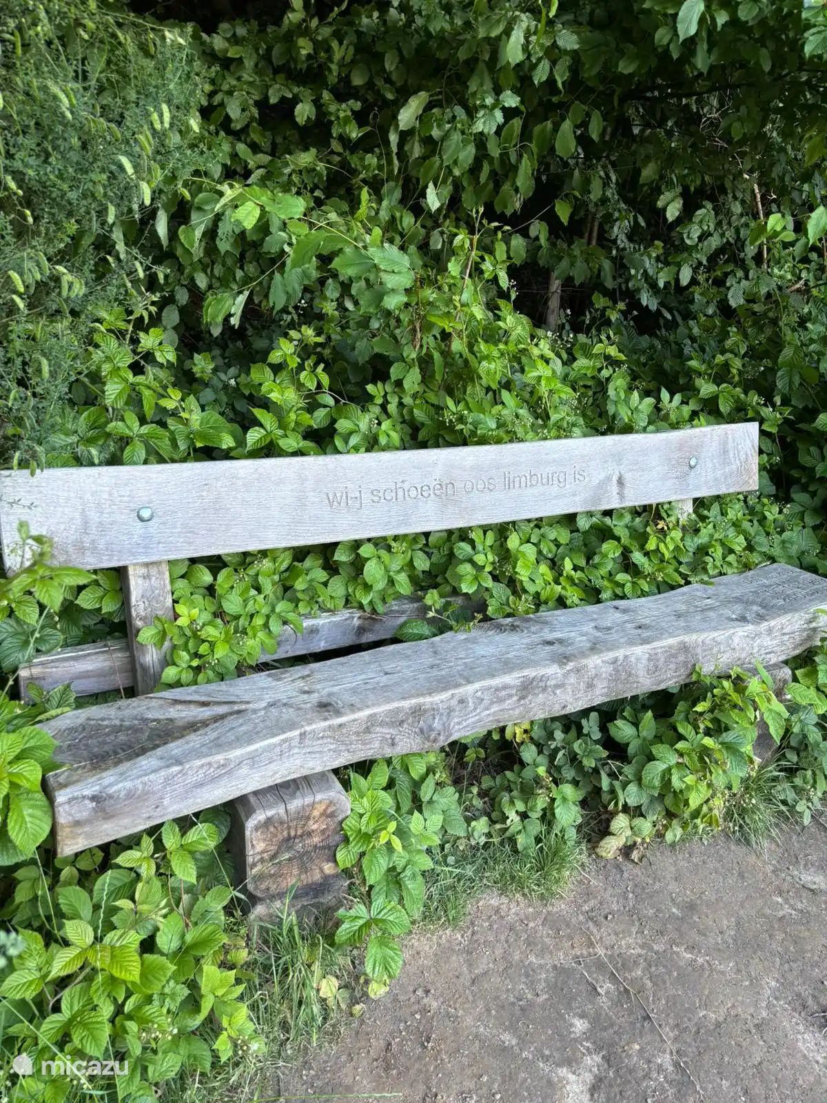 Text auf der Richterbank anwendbar