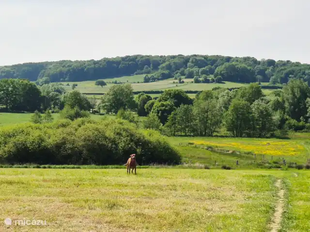 appartement huren in Nederland, Limburg, Mechelen – Studio Tweij & Vitsig genieten