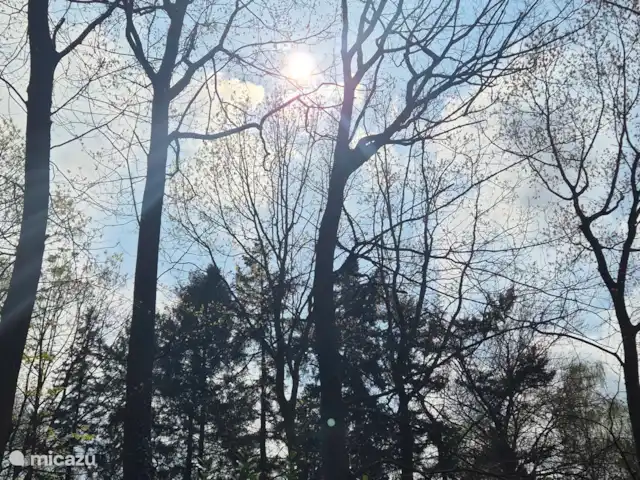 appartement huren in Nederland, Limburg, Mechelen – Studio Tweij & Vitsig