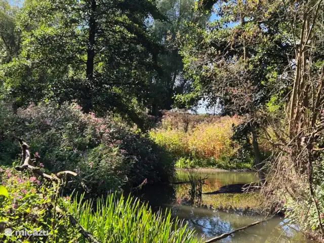 appartement huren in Nederland, Limburg, Mechelen – Studio Tweij & Vitsig alles in bloei