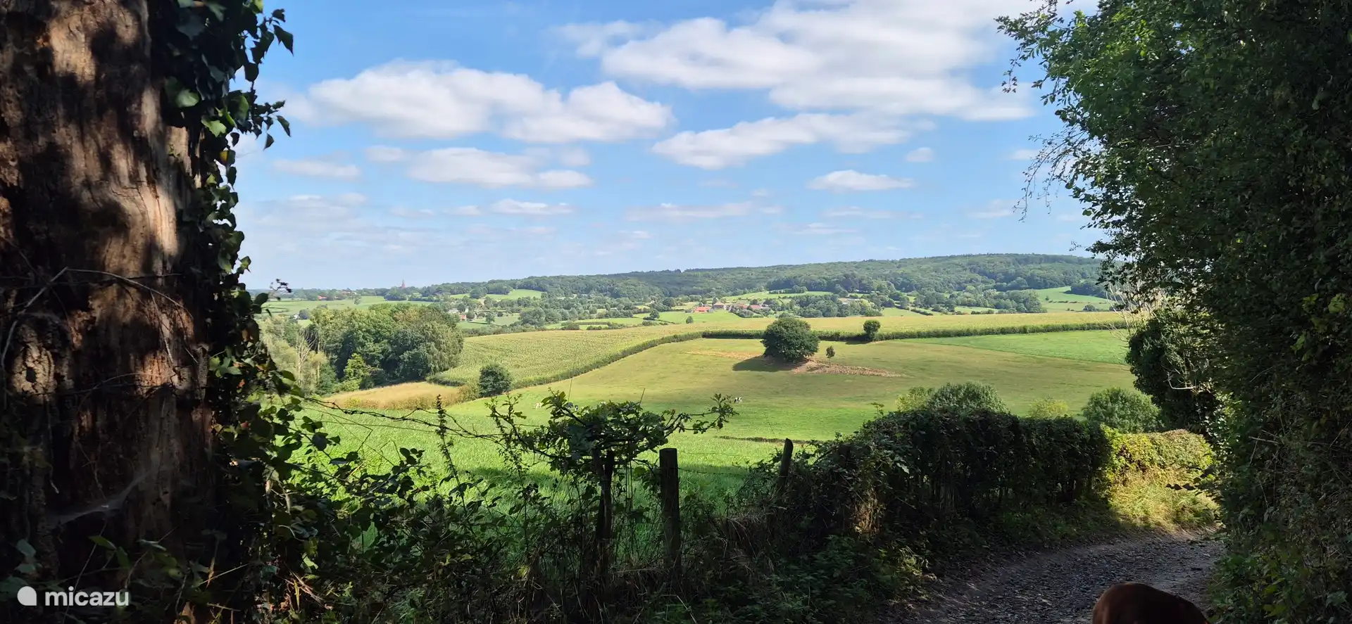 Ansicht von Overgeul