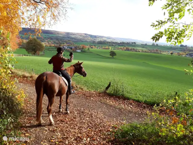 appartement huren in Nederland, Limburg, Mechelen – Studio Tweij & Vitsig zelf genieten van het uitzicht
