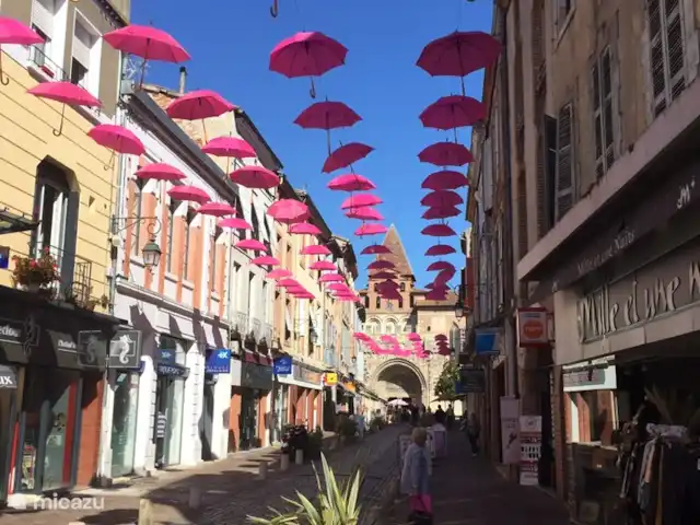 casa rural / cabaña en Francia, Tarn-et-Garonne, Vigueron – Escudes casa rural Woodenshoe La calle de la catedral del patrimonio mundial en Moissac.