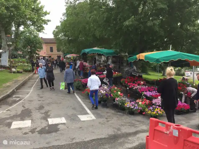 casa rural / cabaña en Francia, Tarn-et-Garonne, Vigueron – Escudes casa rural Woodenshoe mercado de plantas