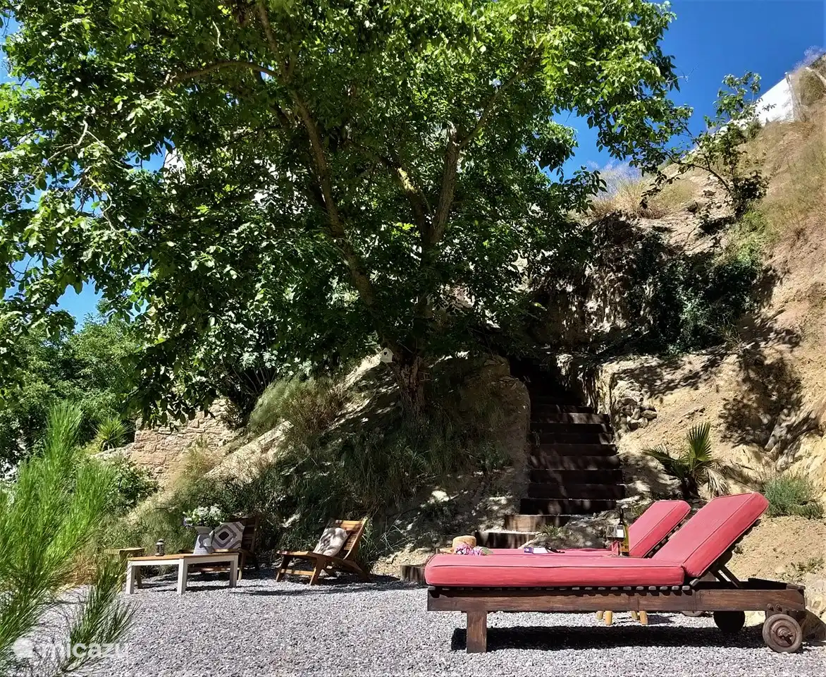 Terrasse dans le jardin avec transats