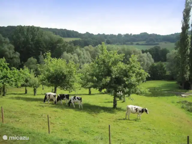 Agenbeuke | Pays-Bas, Limbourg, Malines - ferme Environs de Maastricht et Aachen à 20 km