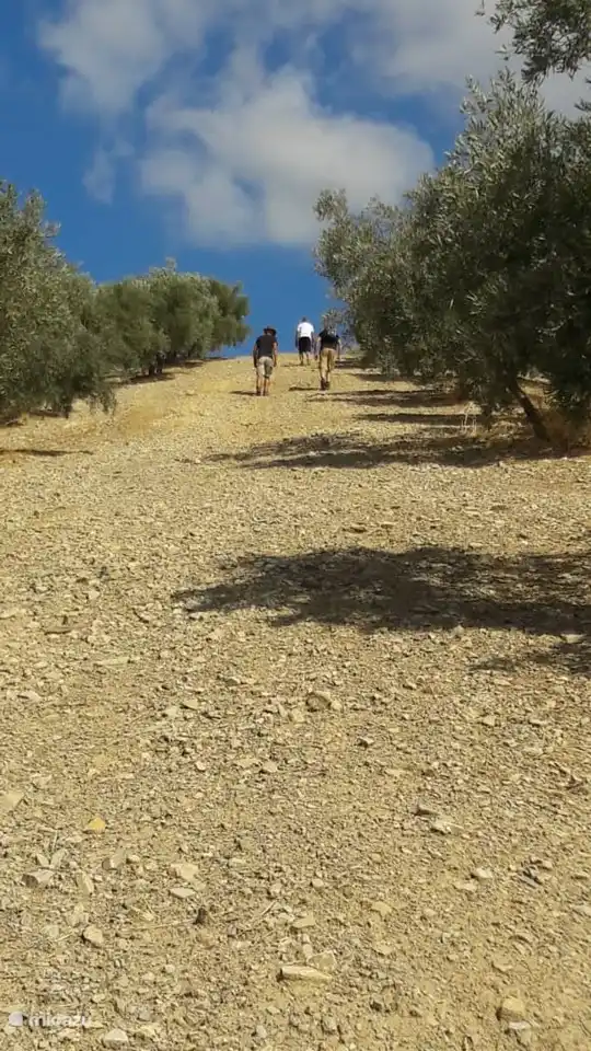 Viele Wandermöglichkeiten