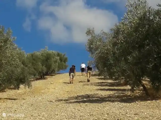 Molino Mairena, Casa Andaluz | Espagne, Andalousie, Montefrio - maison de vacances Options de marche suffisantes
