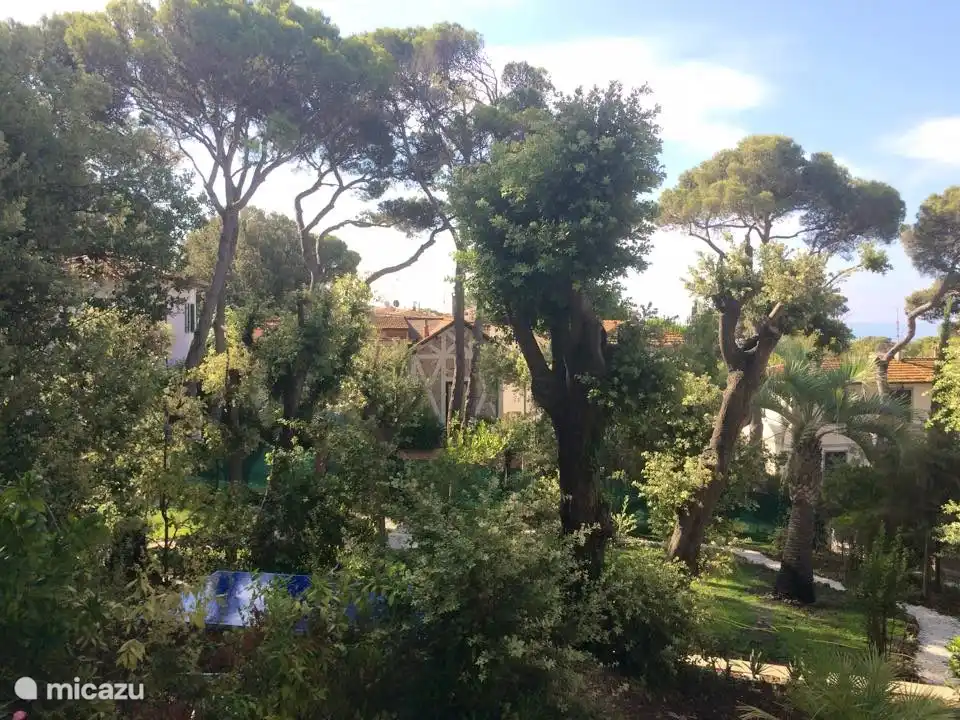 Jardín hace 3 años, justo después de la poda