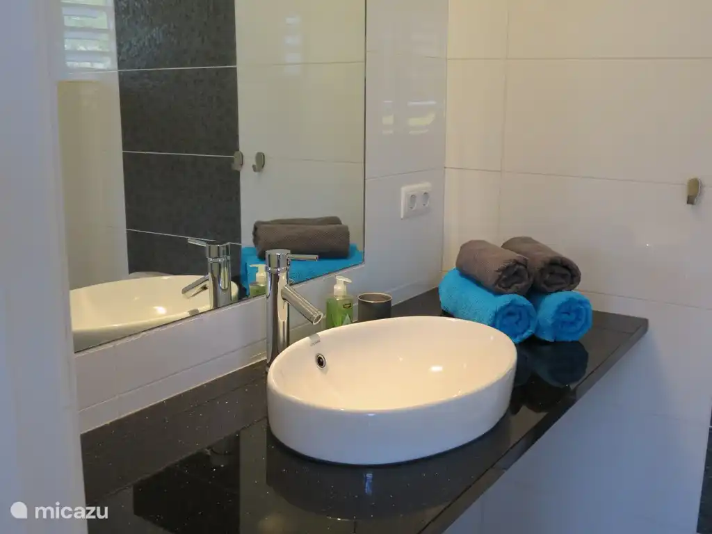 badkamer met ruime wastafel