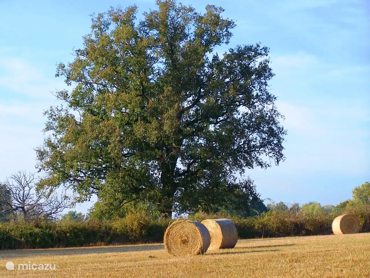 der Blick aus dem Küchenfenster im August