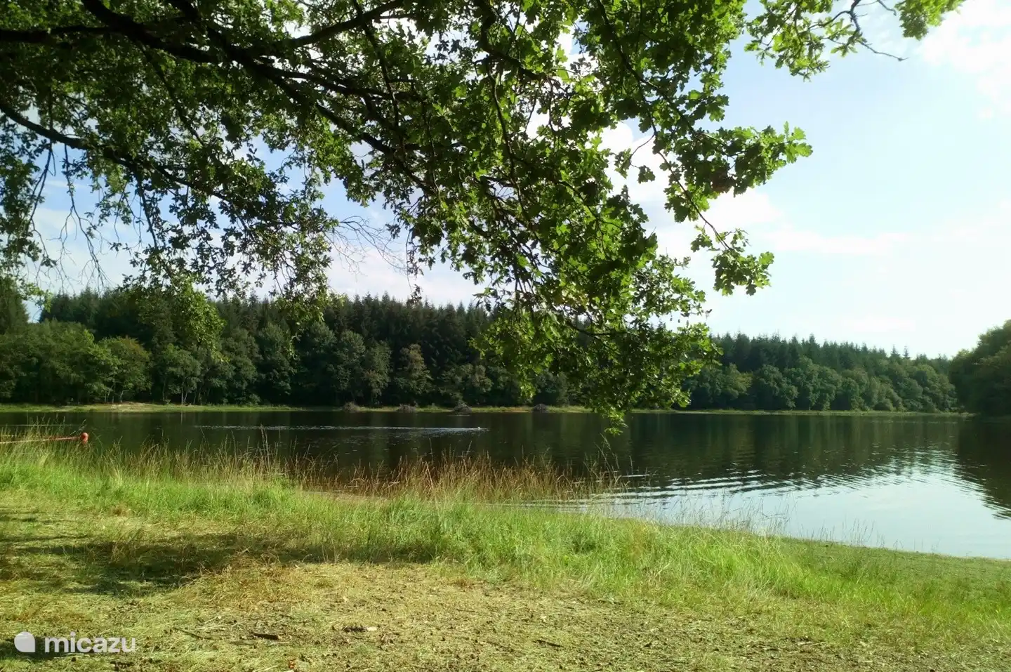 Schwimmen Sie im Etang du Merle, 3 km von Ihrem Haus entfernt